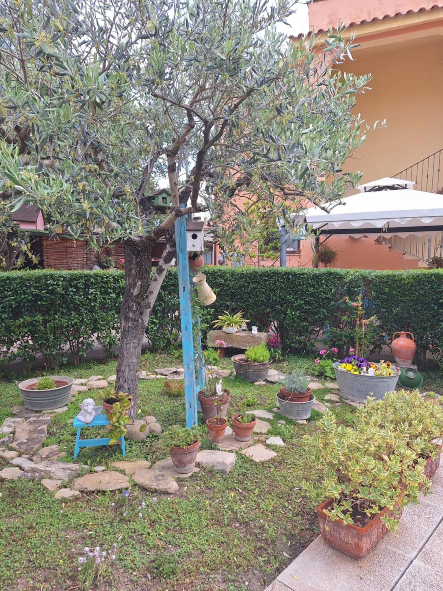 B&B Casa Piras Barùmini Exterior foto