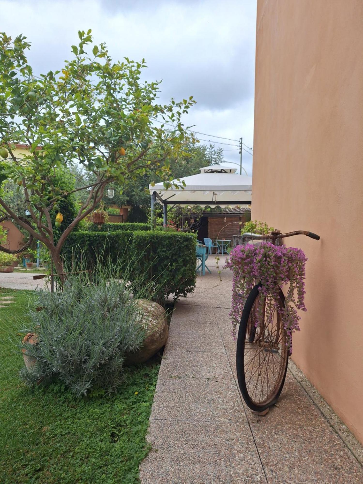 B&B Casa Piras Barùmini Exterior foto
